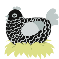 A black and silver chicken with a lace pattern