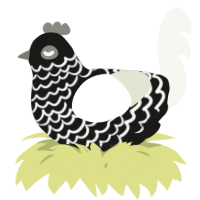 A sable and white chicken with a lace pattern