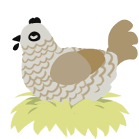 A white and honey chicken with a lace pattern