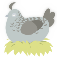 A silver and ash chicken with a half-lace pattern