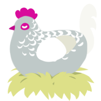 A silver and white chicken with a half-lace pattern