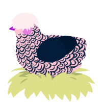(unnamed), a rose and tumblr chicken with a double-lace pattern