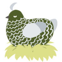 A olive and mist chicken with a lace pattern