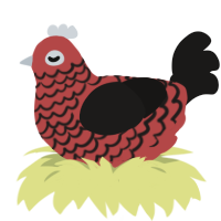 A red and sable chicken with a lace pattern