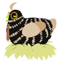 A black and beige chicken with a bar pattern
