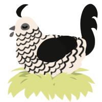 A cream and black chicken with a lace pattern