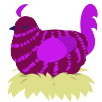 A wine and amethyst chicken with a bar pattern