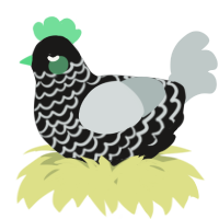 A sable and silver chicken with a lace pattern