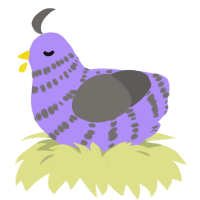 A lilac and grey chicken with a bar pattern