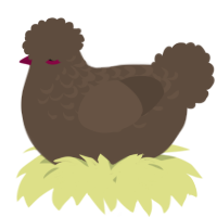 A bark chicken with a half-lace pattern