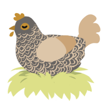 Savanah, a grey and beige chicken with a double-lace pattern