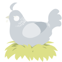 A mist chicken with a neck-band pattern