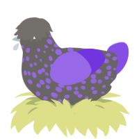 Co, a grey and blurple chicken with a speckle pattern