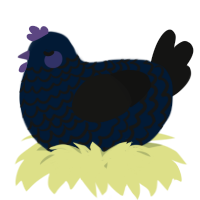 A tumblr and black chicken with a lace pattern