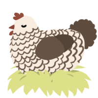 A cream and bark chicken with a lace pattern