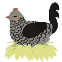 A ash and sable chicken with a lace pattern