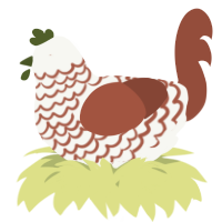 A white and russet chicken with a lace pattern
