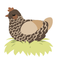 A bark and beige chicken with a lace pattern