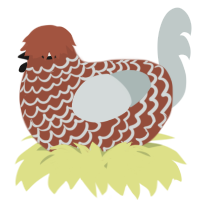 A russet and silver chicken with a lace pattern
