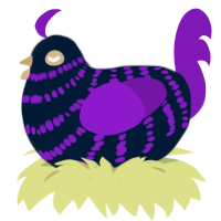 (unnamed), a tumblr and violet chicken with a bar pattern
