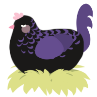 A sable and overcast chicken with a half-lace pattern