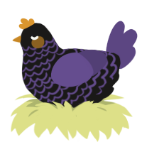 Elias, a sable and overcast chicken with a lace pattern