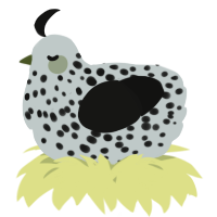 A silver and black chicken with a speckle pattern