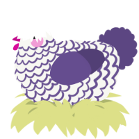 A white and overcast chicken with a lace pattern