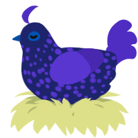 A navy and indigo chicken with a speckle pattern