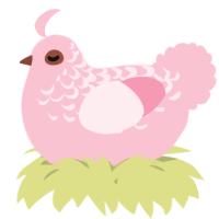 A rose chicken with a half-lace pattern