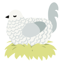 A white and silver chicken with a lace pattern
