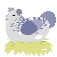 A grey and yellow chicken with a half-lace pattern
