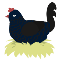Black Sorrow, a tumblr and sable chicken with a lace pattern