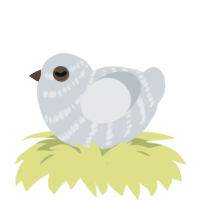 Ghost, a mist chicken with a bar pattern