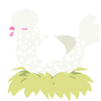 A white chicken with a speckle pattern
