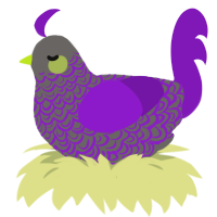 Vyo, a grey and violet chicken with a double-lace pattern