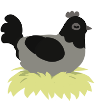 La Suie, a ash and black chicken with a head pattern