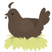 A bark chicken with a half-lace pattern