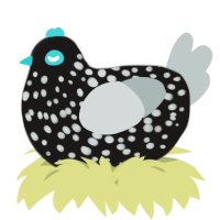 A sable and silver chicken with a speckle pattern