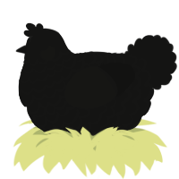 A black chicken with a lace pattern