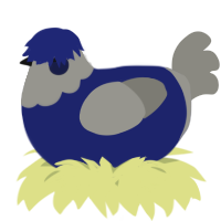 A navy and ash chicken with a head pattern