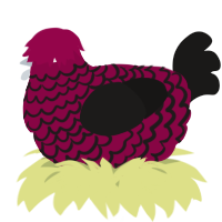 A maroon and sable chicken with a lace pattern