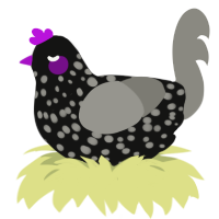 A black and ash chicken with a speckle pattern