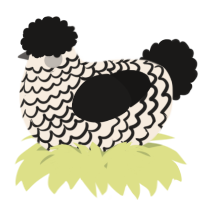 A cream and sable chicken with a lace pattern