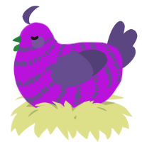 A amethyst and overcast chicken with a bar pattern