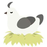 A white and grey chicken