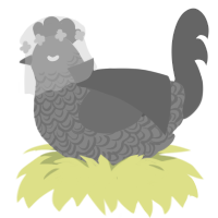 A ash and grey chicken with a double-lace pattern