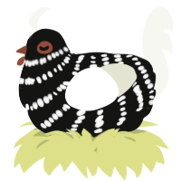 A black and white chicken with a bar pattern