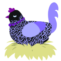 A black and lilac chicken with a double-lace pattern