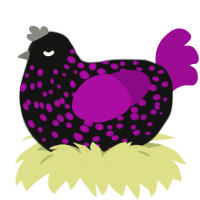 Redshift, a black and plum chicken with a speckle pattern